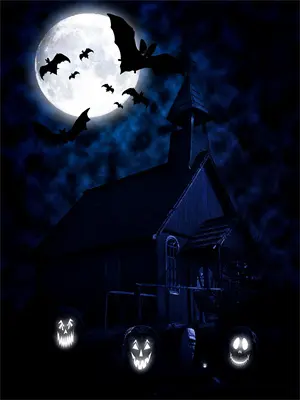 我在星际做游戏始皇闪光皇女